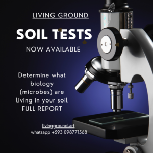 Soil Test