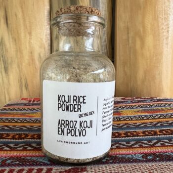 Koji Rice Powder - Polvo de Arroz Koji
