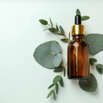 Eucalyptus Essential Oil - Aceite Esencial de Eucalipto
