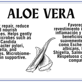 Aloe Vera Tincture - Tintura de Aloe Vera