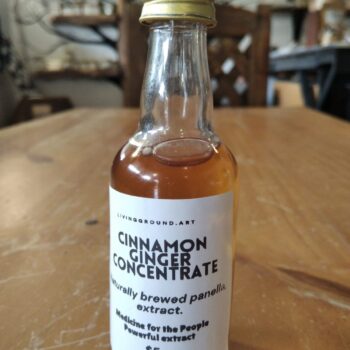 Cinnamon & Ginger Concentrate / Concentrado de Canela y Jengibre