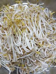 Mung Bean Sprouts - Brotes de Frijol Mungo. Dried