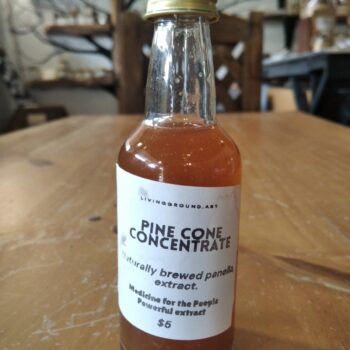 Pine Concentrate / Concentrado de Pino