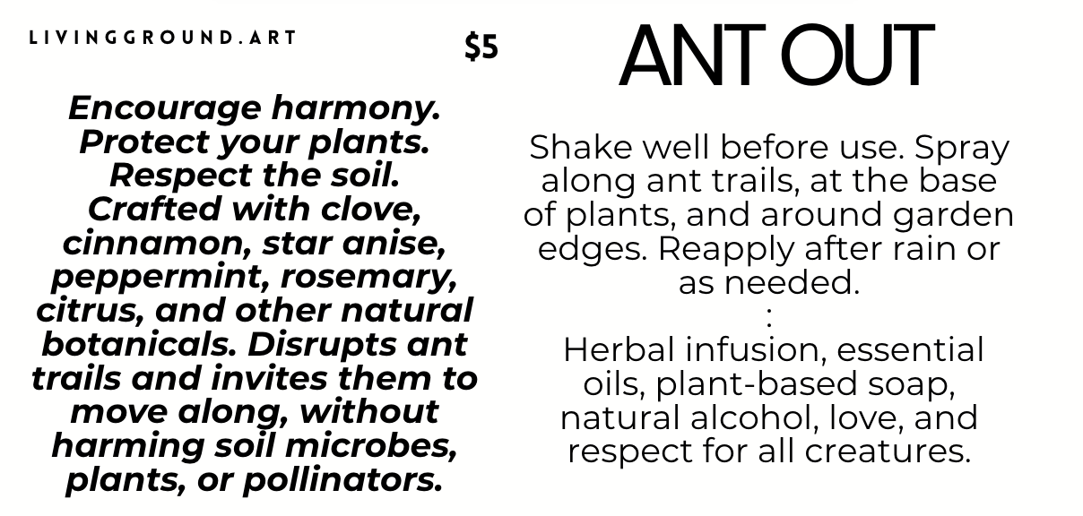 Ant Out spray