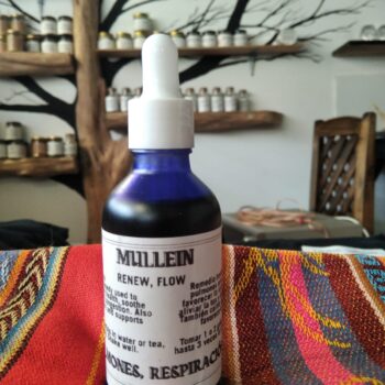 Mullein Tincture - Tintura de Gordolobo