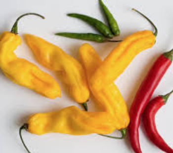 Salsa Freeze Dried  - Just add water - Salsa Liofilizada - Solo agrega agua