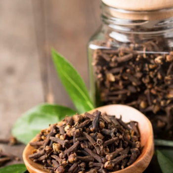 Clove & Elderberry Elixir