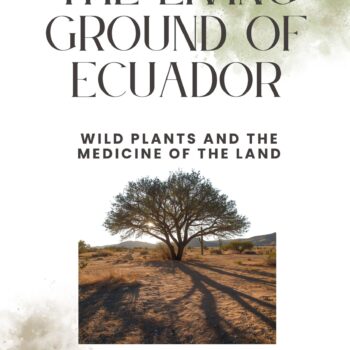 The Living Ground of Ecuador – Plants, Soil & Medicine of the Land (english, Digital Copy)