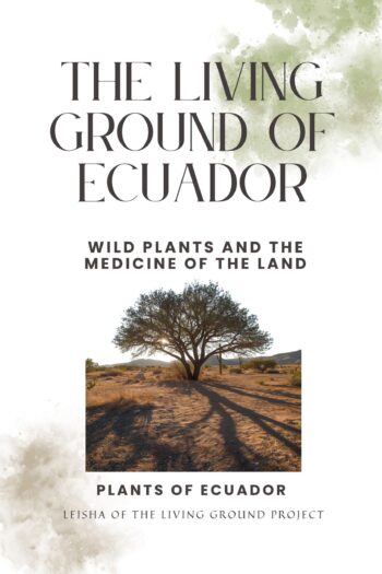 The Living Ground of Ecuador – Plants, Soil & Medicine of the Land
