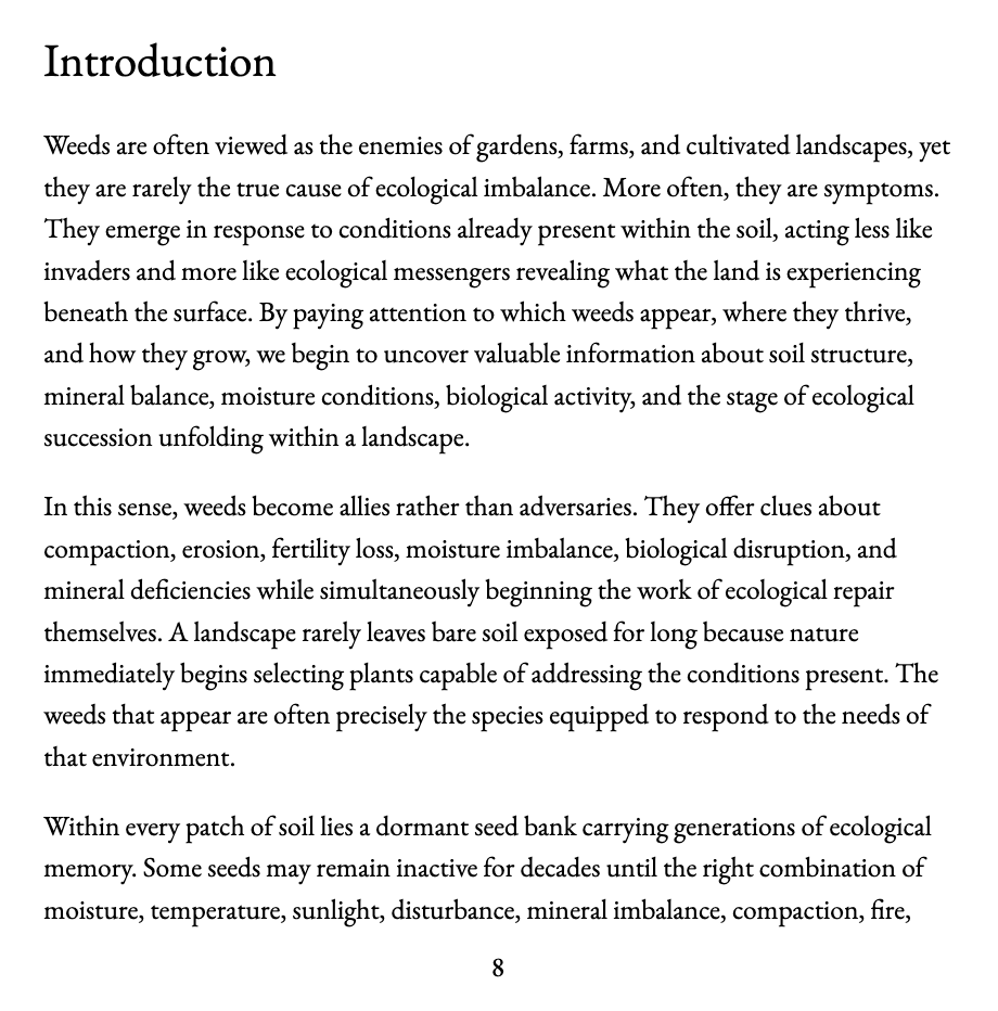 The Living Ground Wisdom of the Weeds - Image 2