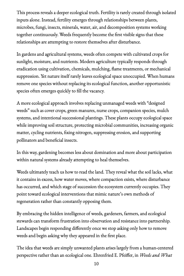 The Living Ground Wisdom of the Weeds - Image 4