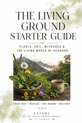The Living Ground Start Guide