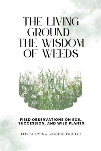 The Living Ground Wisdom of the Weeds