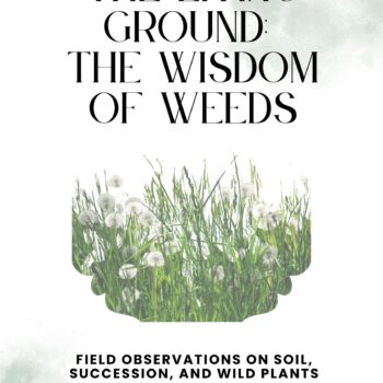 The Living Ground Wisdom of the Weeds (Digital Copy)