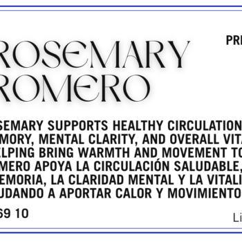 Rosemary - Romero