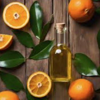 Bitter Orange Elixir - Elixir de Naranja Amarga