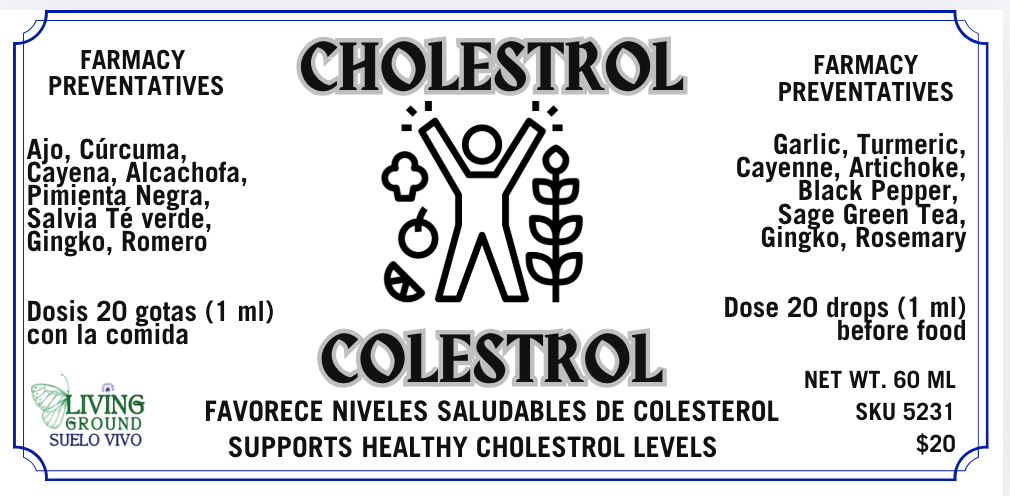Cholesterol - Colesterol - Image 2