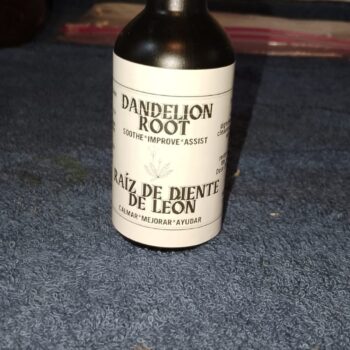 Dandelion - Diente de León