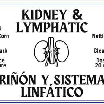 Kidney- Lymphatic Tincture - Tintura Riñón y Linfática