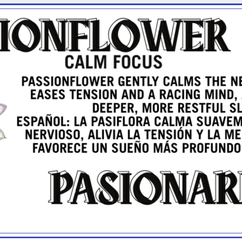 Passion Flower - Pasiflora