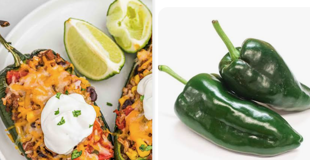 Poblano Pepper