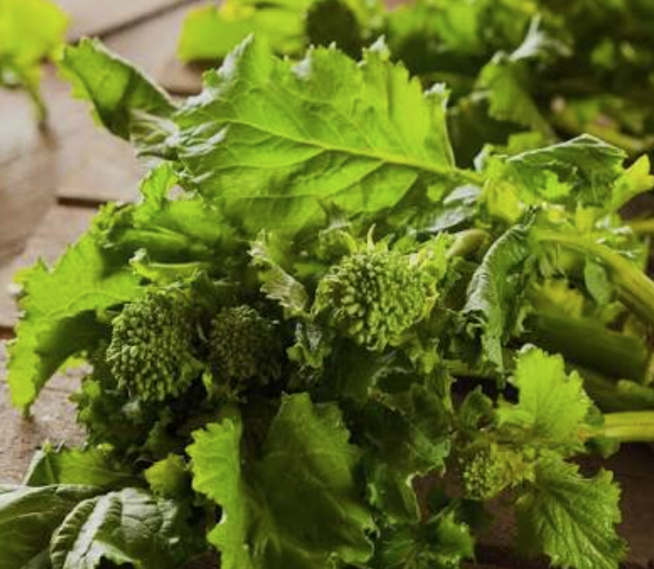 Rapini (Broccoli Rabe) - Rapini (Brócoli Rabe)