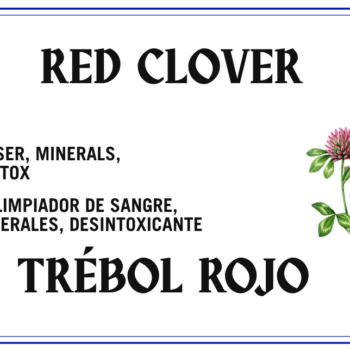 Red Clover - Trébol Rojo