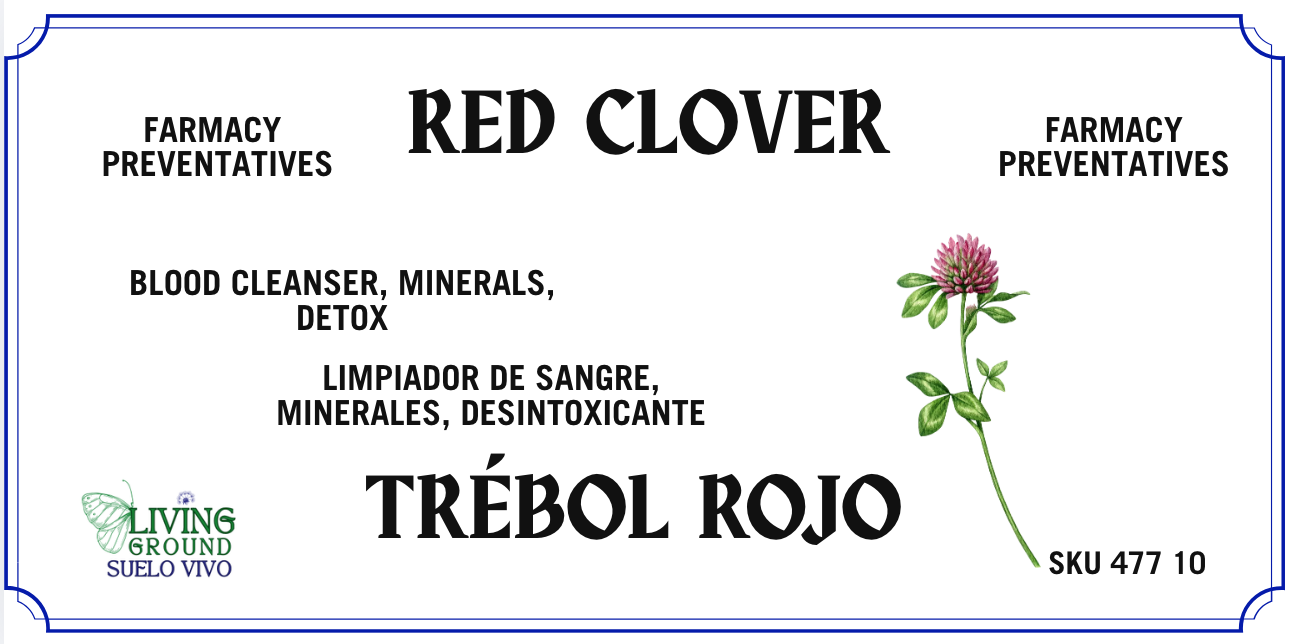 Red Clover - Trébol Rojo