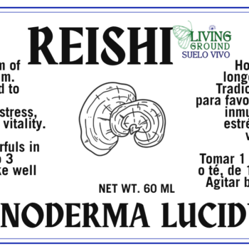 Reishi - Reishi
