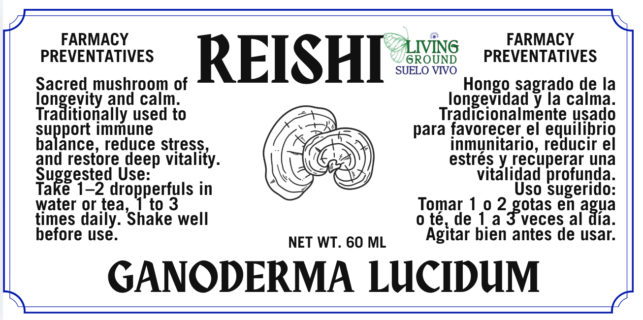 Reishi - Reishi