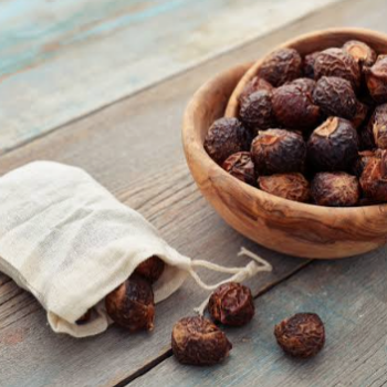 Soap Nuts with bag