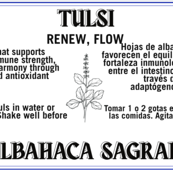 Tulsi - Tulsi (Albahaca Sagrada)