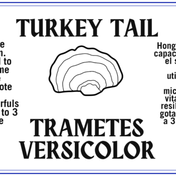 Turkey Tail - La Cola de Pavo