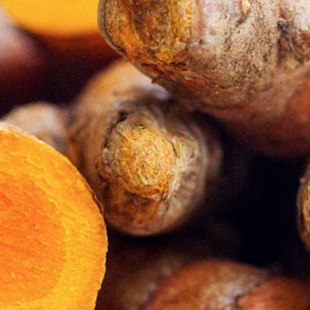 Turmeric Hydrosol - Hidrosol de Cucuma