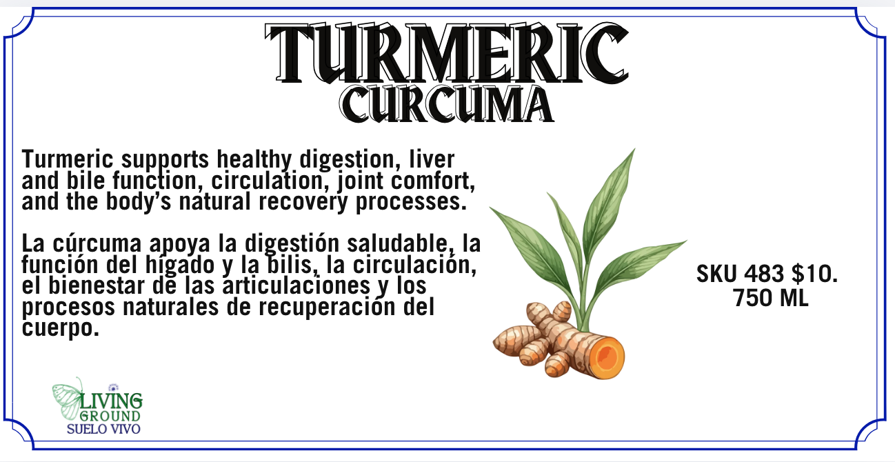 Turmeric - Cúrcuma