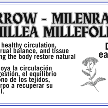 Yarrow - Milenrama