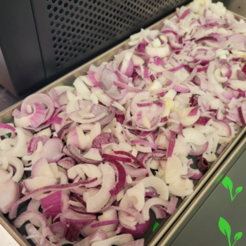 Freeze-Dried Onion, Cebolla Liofilizada