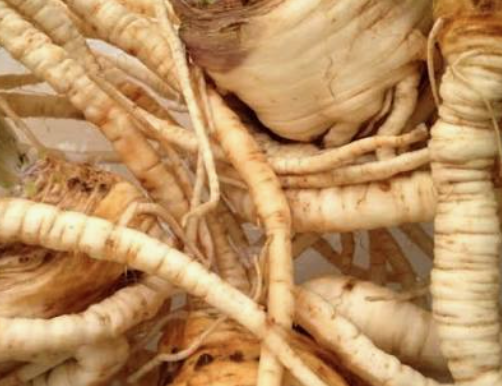 Parsley Root Dried Raíz de Perejil Seca