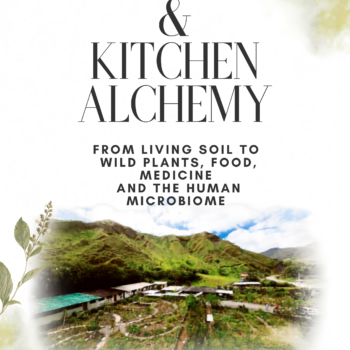 Plant & Kitchen Alchemy Digital Version