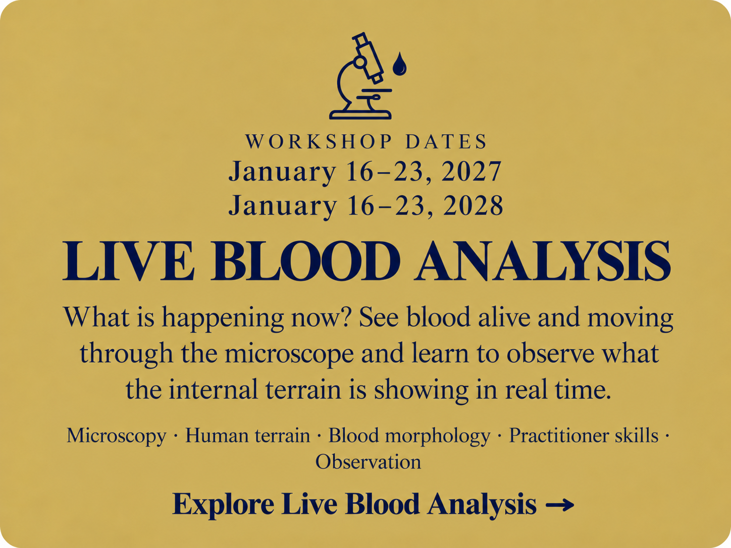 Live Blood Analysis workshops at Living Ground