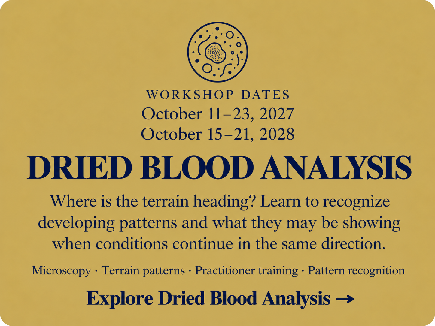 Dried Blood Analysis workshops at Living Ground