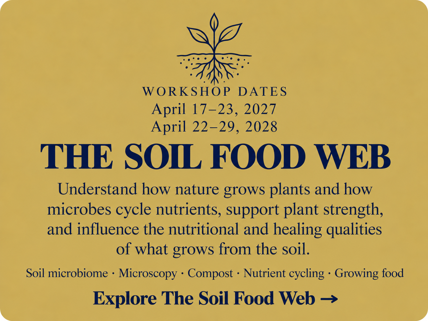 Soil Food Web workshops at Living Ground