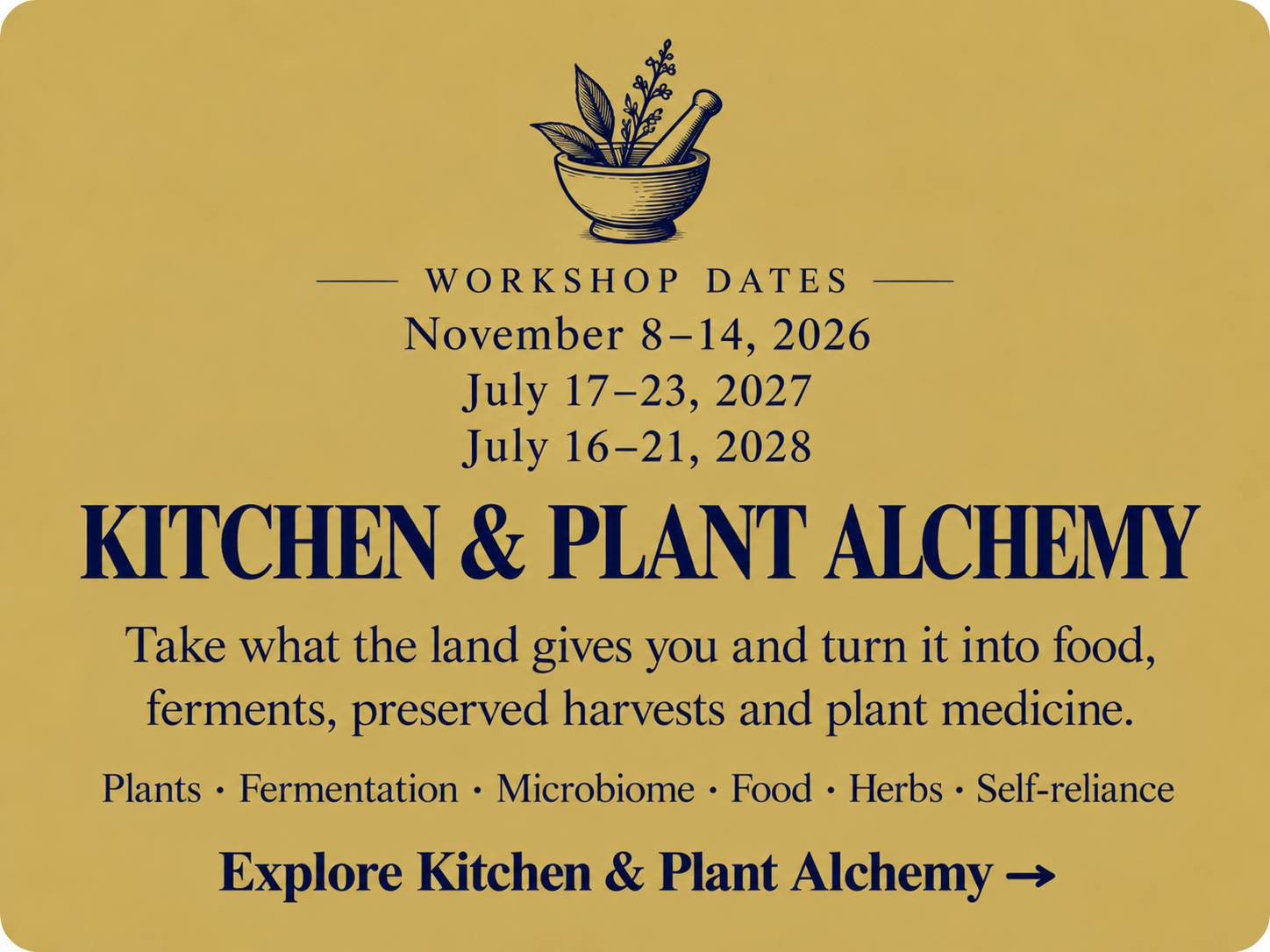 Kitchen and Plant Alchemy workshops at Living Ground